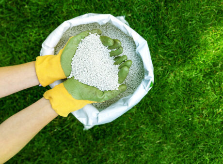 A handful of granulated fertiliser