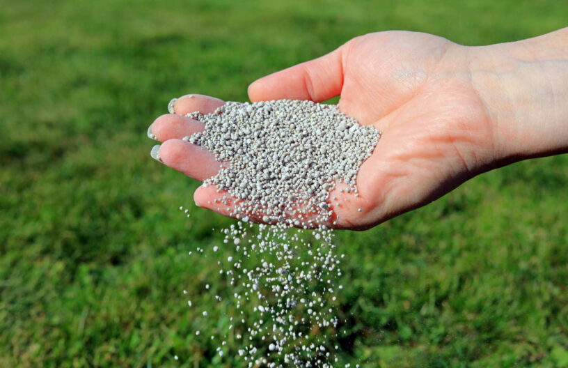 Fertiliser in hand