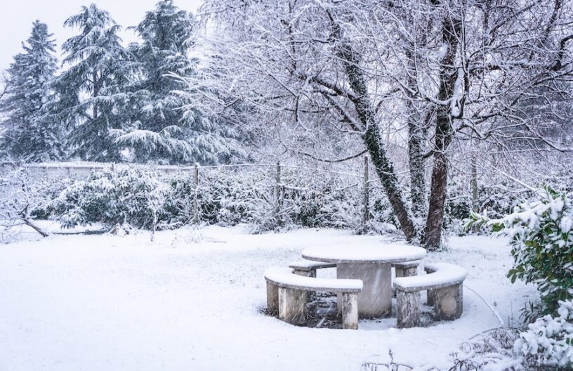 Snow-covered back garden